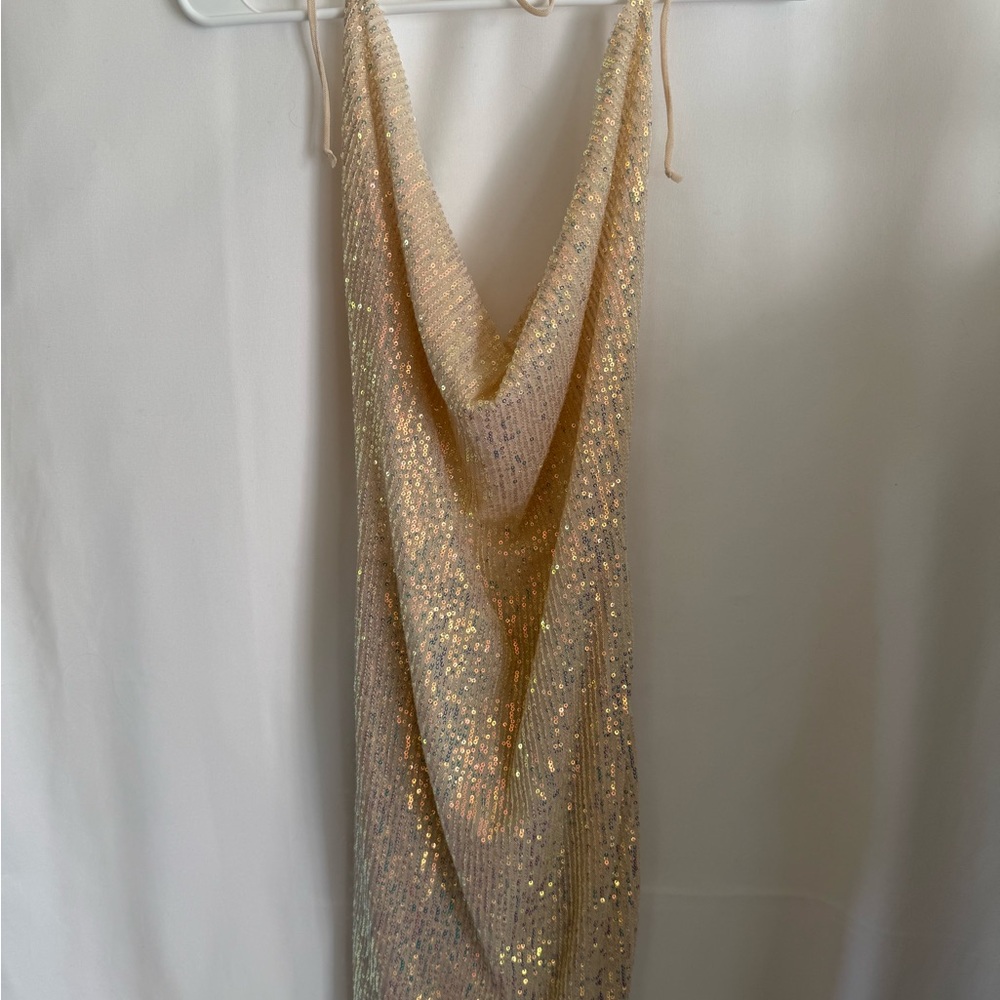 Fashion Nova Champagne Sequin Maxi Dress